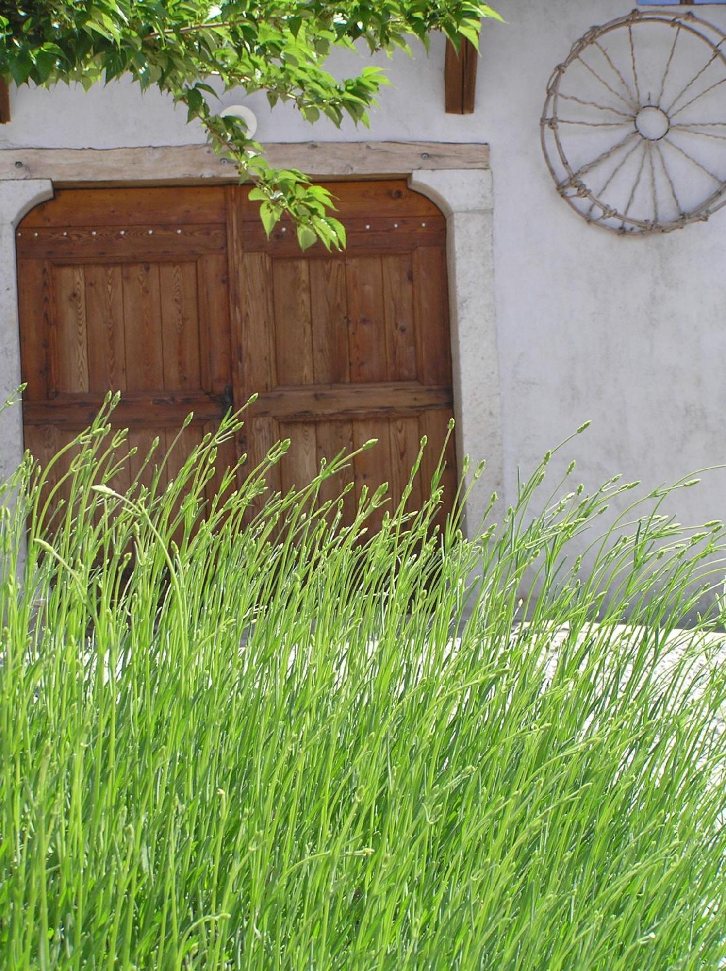 Pliskovica Youth Hostel Bagian luar foto
